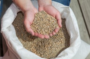 飼料イメージ１